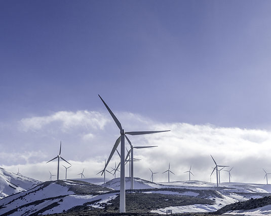 Renewable Energy Program